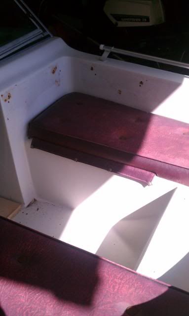 IMAG0236.jpg