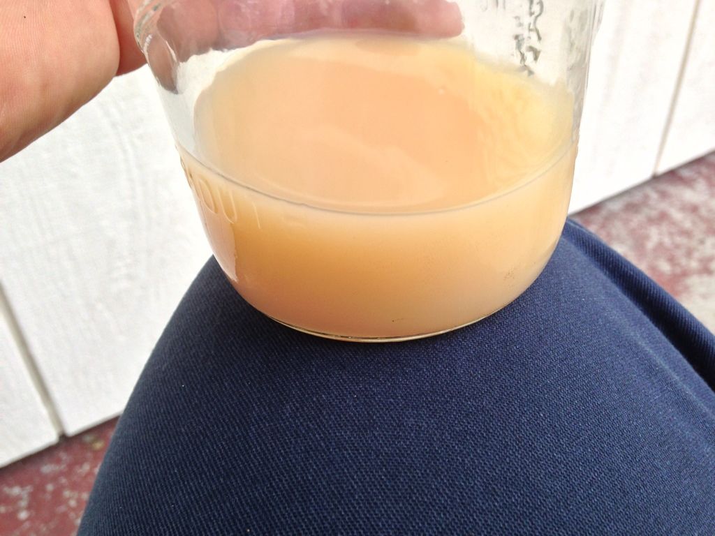 Coolant looks like milk? Lightning Rodder