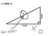 th_ehallarx