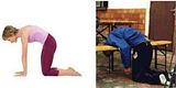 th_marjayasana