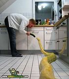 th_sb1035-mascota-inc-moda