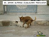 th_sb1077-el-poder-del-amor