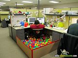 th_sb1182-en-pelotas