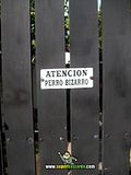 th_sb1185-perro-bizarro