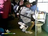 th_sb1202-transporte-p-blico