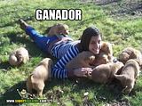 th_sb1228-ganador