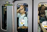 th_sb1261-subte