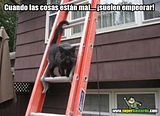 th_sb1273-doble-mala-suerte