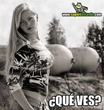 th_sb1303-test-malpensado