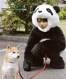 th_sb1306-panda