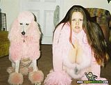 th_sb1314-perros