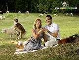 th_sb1359-pic-nic