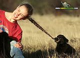 th_sb1361-mascota-exigente