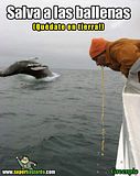 th_sb874-salvar-a-las-ballenas