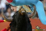 th_sb919-torero