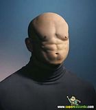 th_sb929-cabeza-de-m-sculo