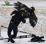 th_sb969-acoso-de-la-prensa