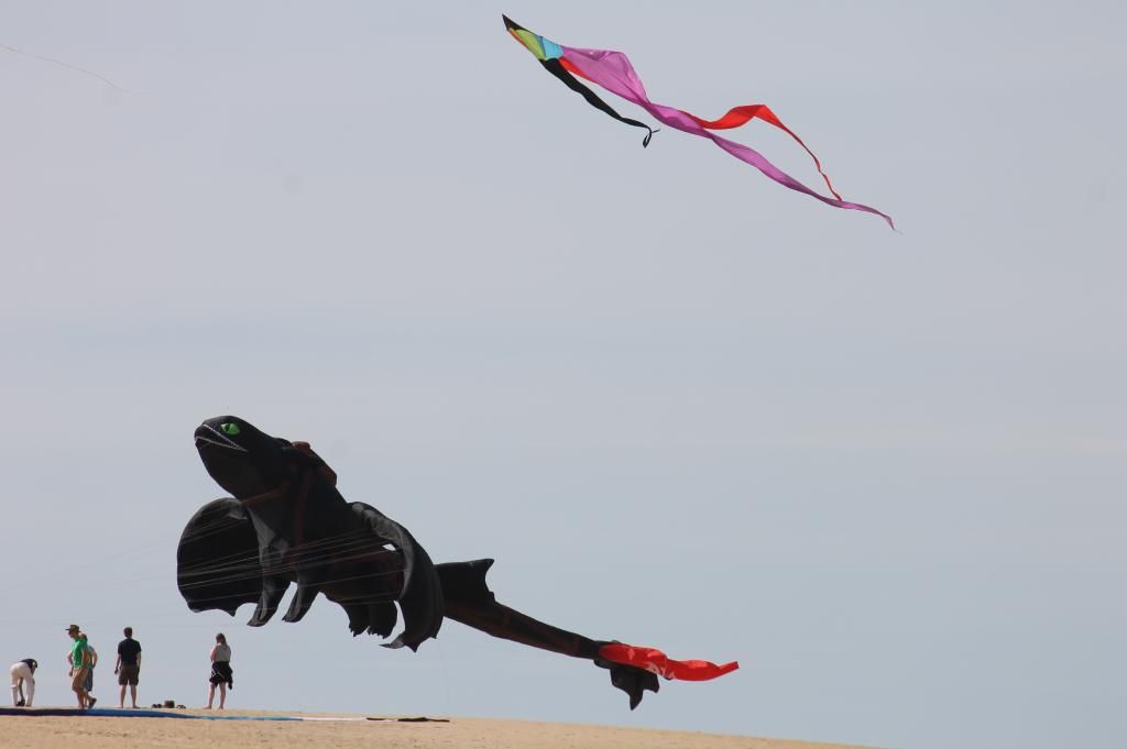 IMAGE: http://i702.photobucket.com/albums/ww25/Swift_Delta88/IMG_2382_zpsff94557b.jpg