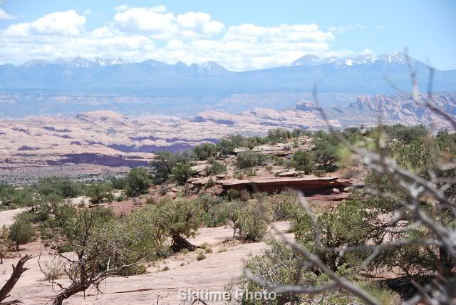 DSC_0131.jpg