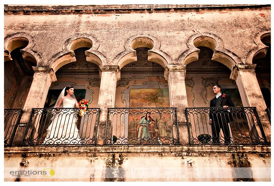 el palacio de las vacas