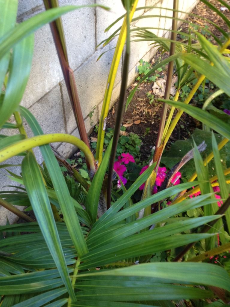 photo-40.jpg