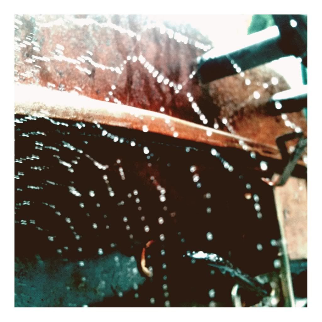 adam taylor photography