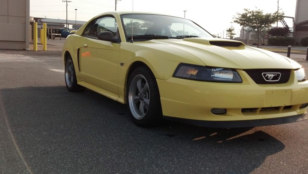 POST PICTURES OF YOUR ZINC OR SCREAMING YELLOW MUSTANGS 9909 Body