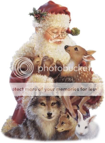 MERRY CHRISTMAS Pictures, Images and Photos