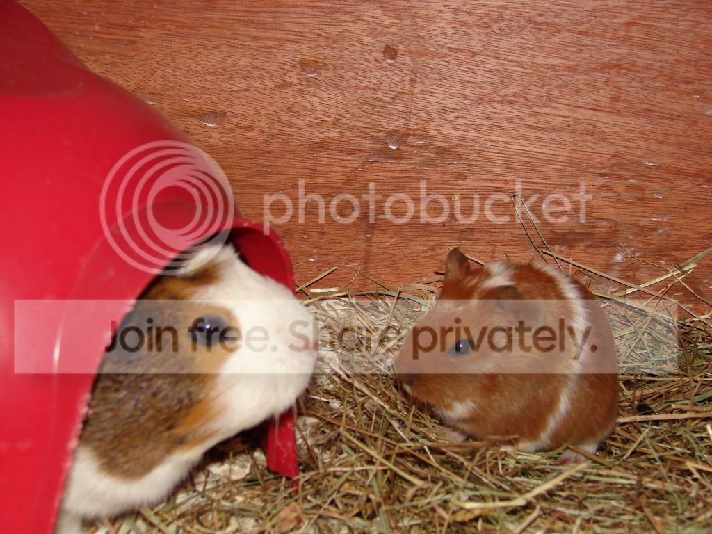 DSC03471.jpg